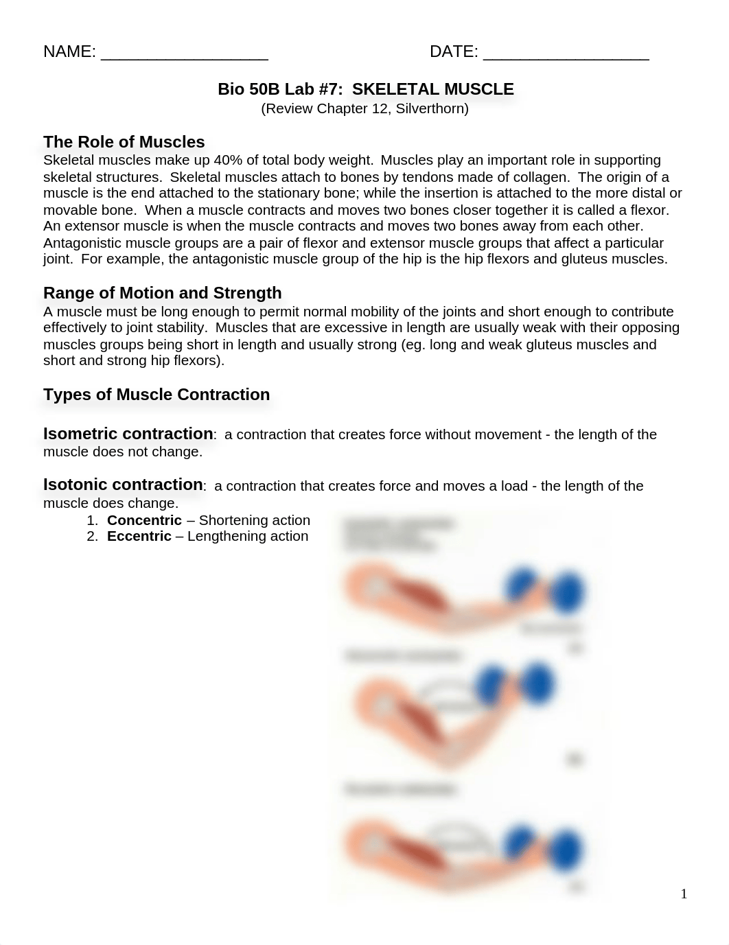 Lab #7 - Muscle Reflex rev 2-18.doc_daad9cxeq26_page1