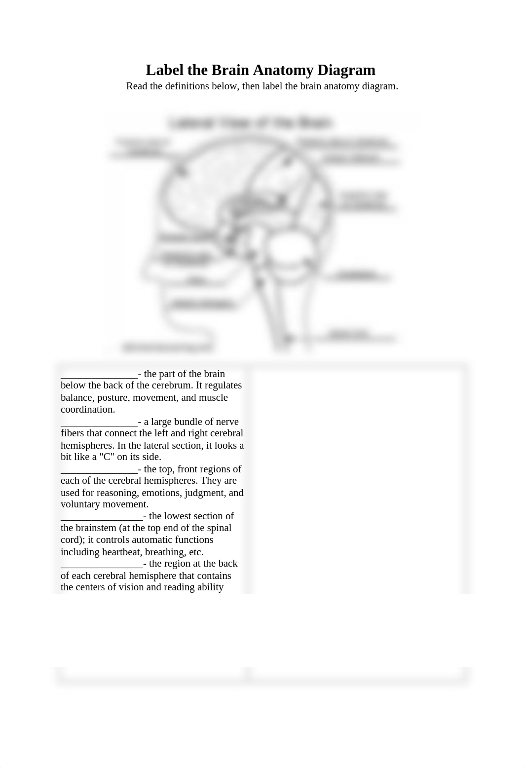 Label_the_Brain_Anatomy_Diagram.doc_daai3vlat08_page1