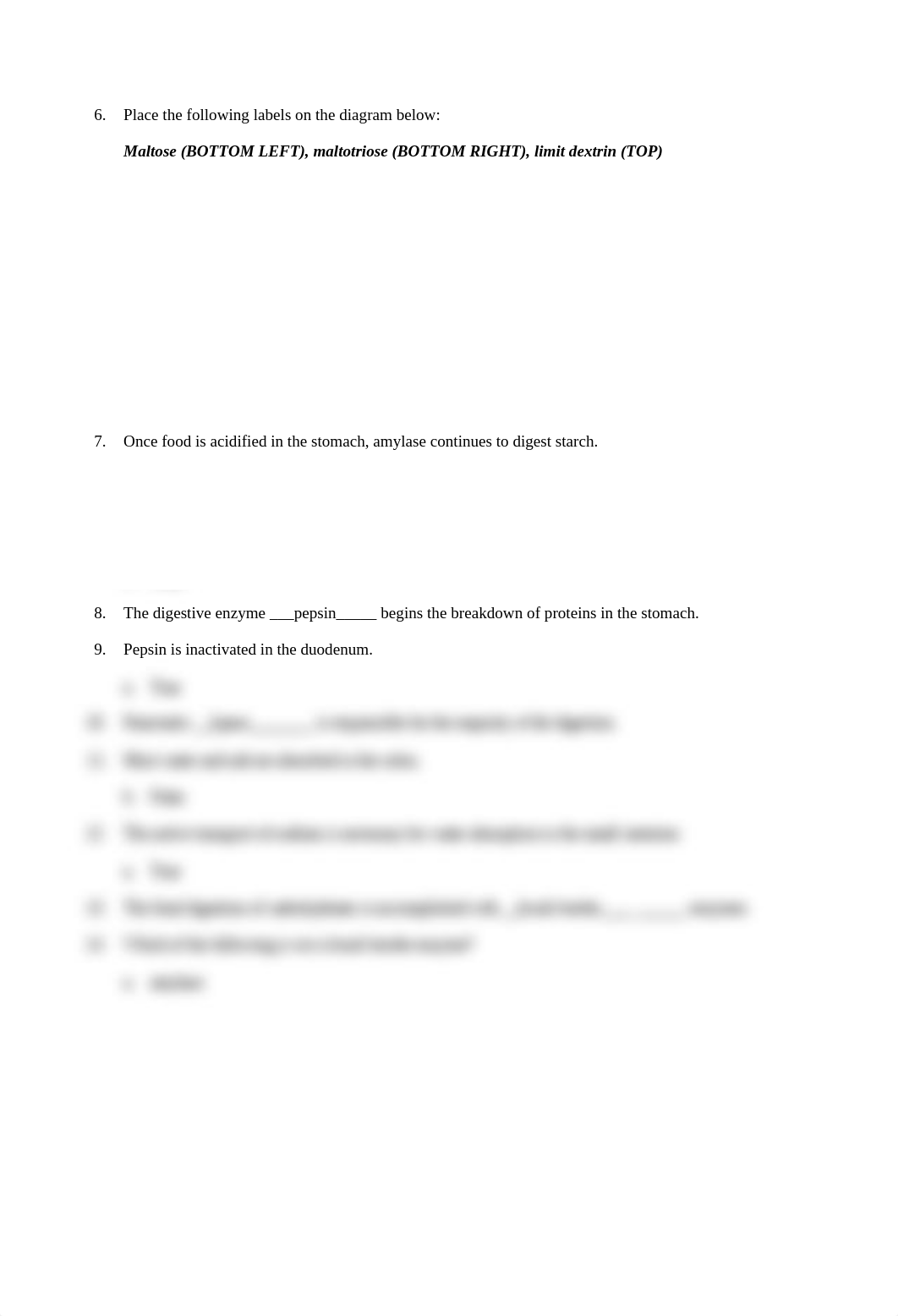 REAL U6 IP Animation Enzymatic Digestion and Absorption(1).docx_daam4wnb1jl_page2