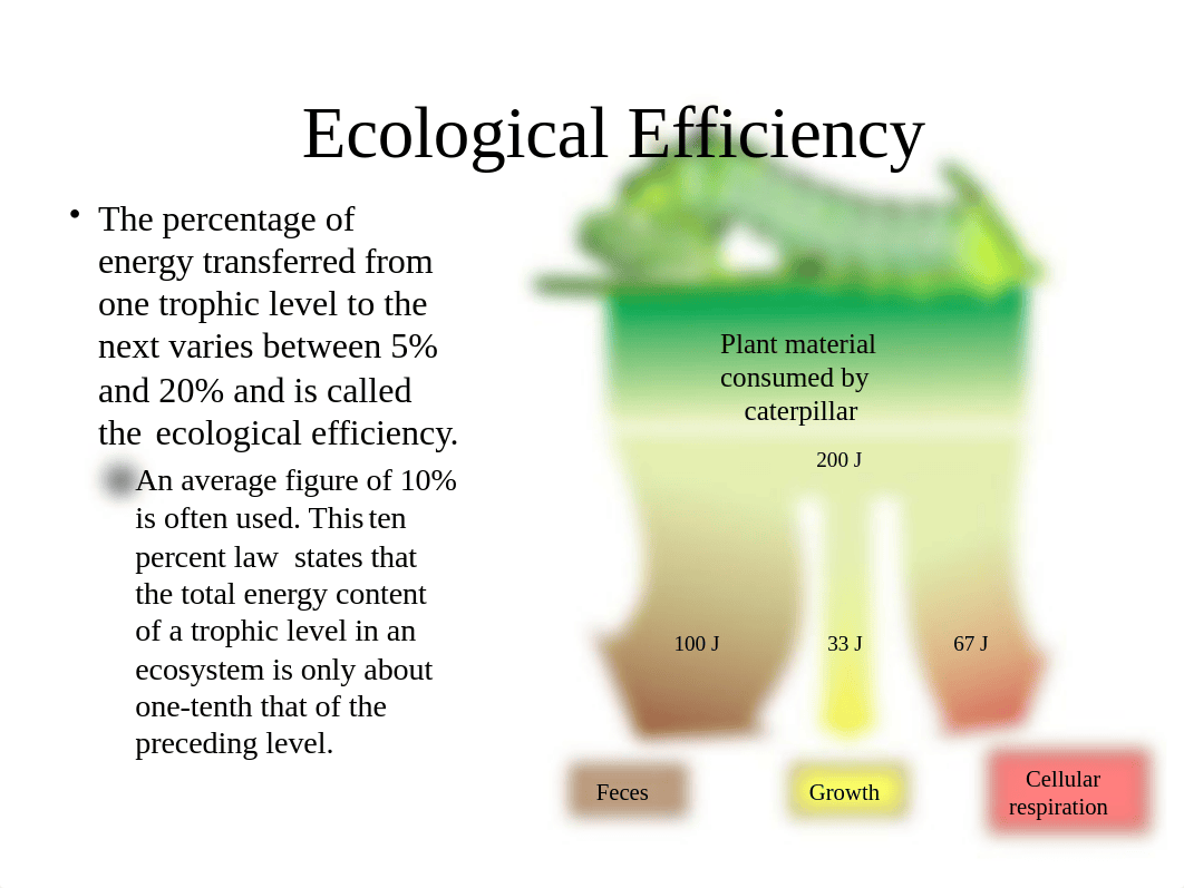 2 Ecosystems Part 3_daawbuaxu0t_page1