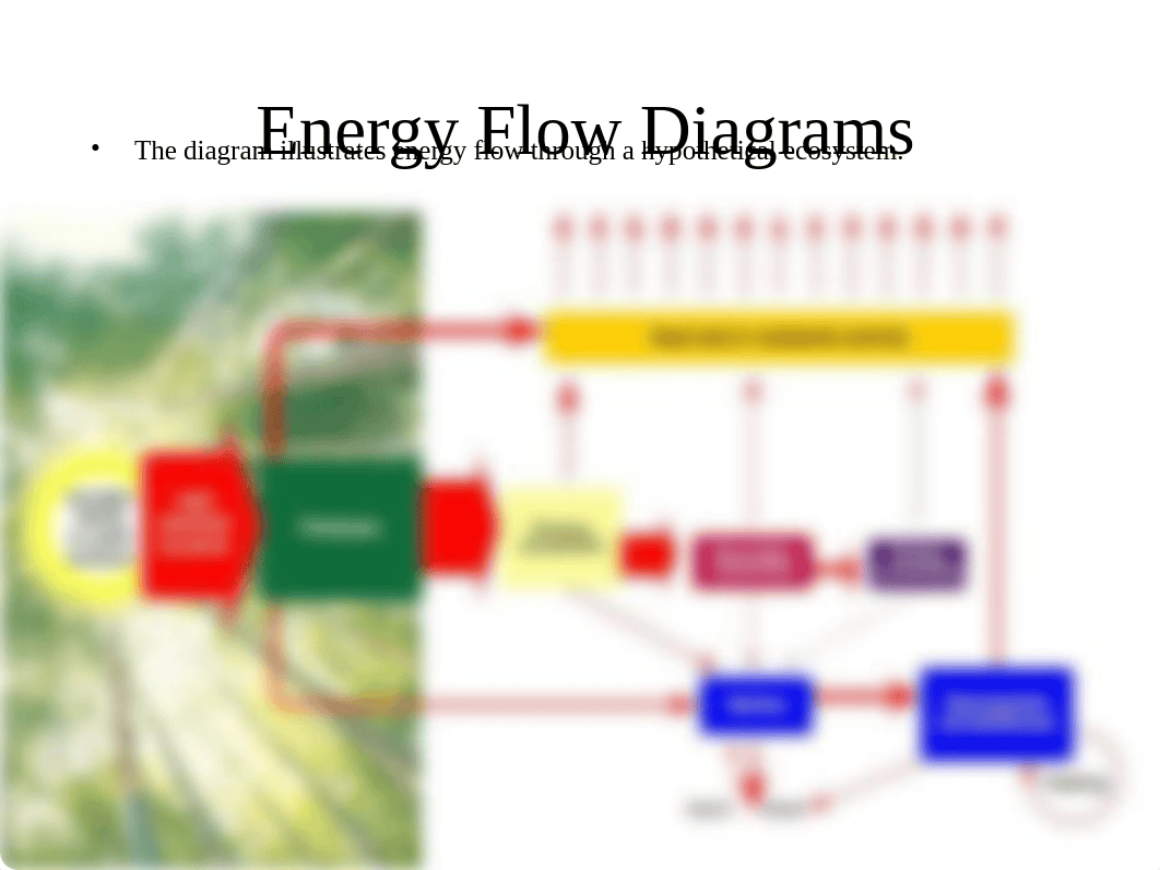 2 Ecosystems Part 3_daawbuaxu0t_page3