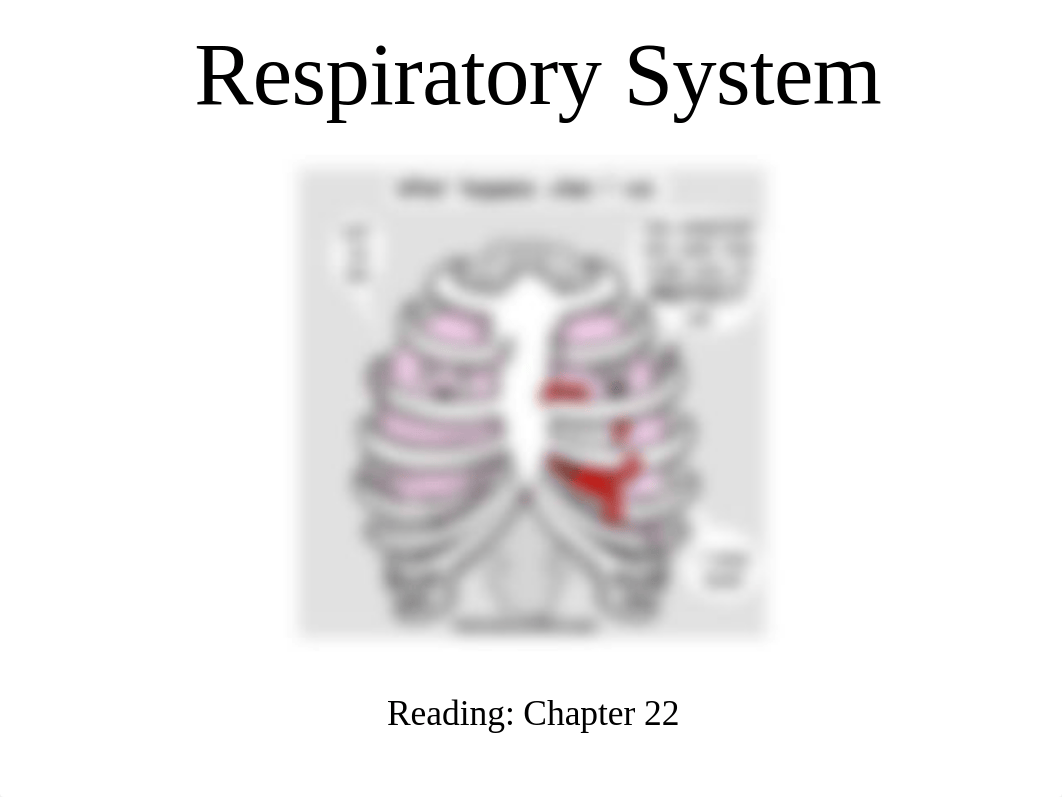 Respiratory System.pdf_daazfn5o6fy_page1