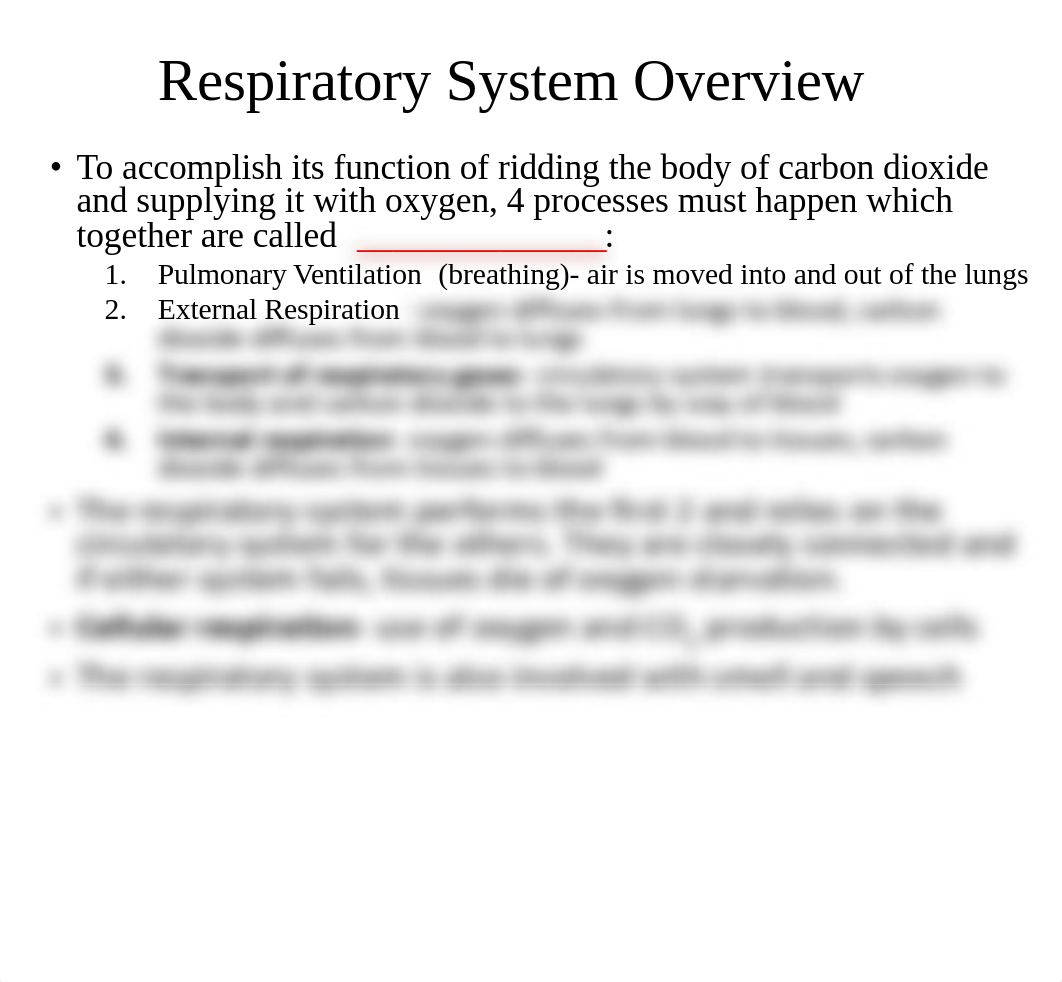 Respiratory System.pdf_daazfn5o6fy_page5