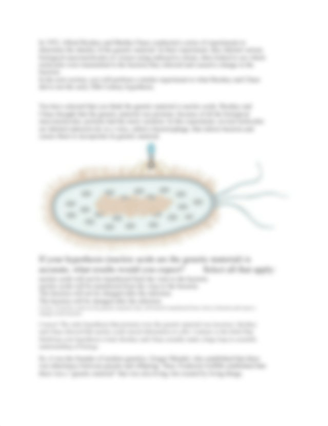 bio beyond unit 6 genetics.docx_dab4w4qyof3_page2