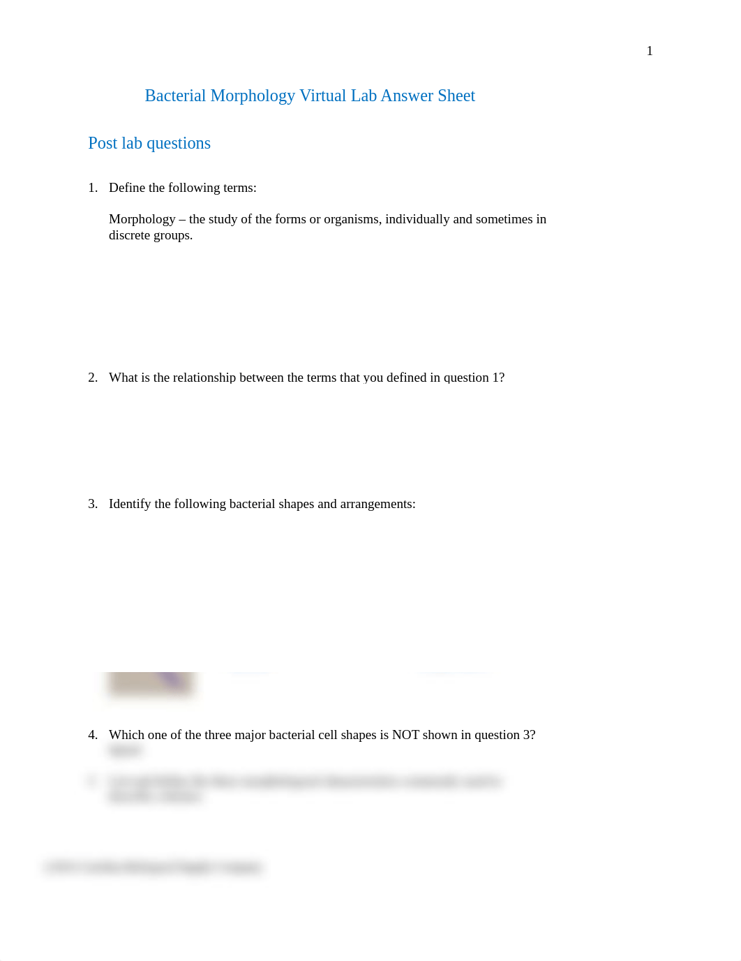 Bacterial Morphology Virtual Lab Questions (1).docx_dabeau3ql0m_page1