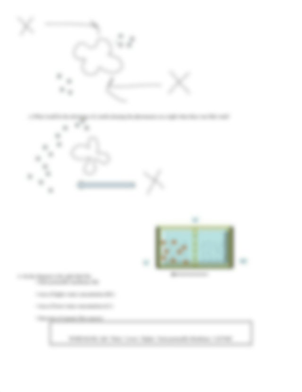 Diffusion_and_Osmosis_Worksheet_dabf0xf46af_page2