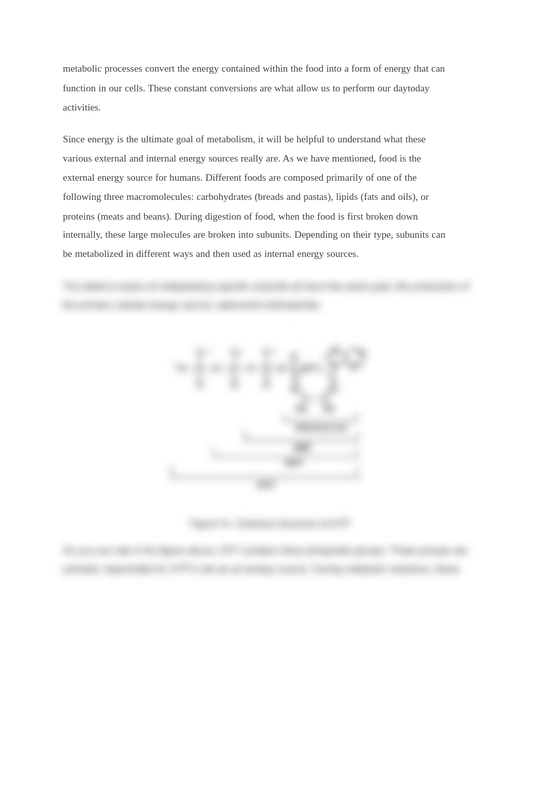 Medical Terminology Chapter 4_dabk01l6e56_page2