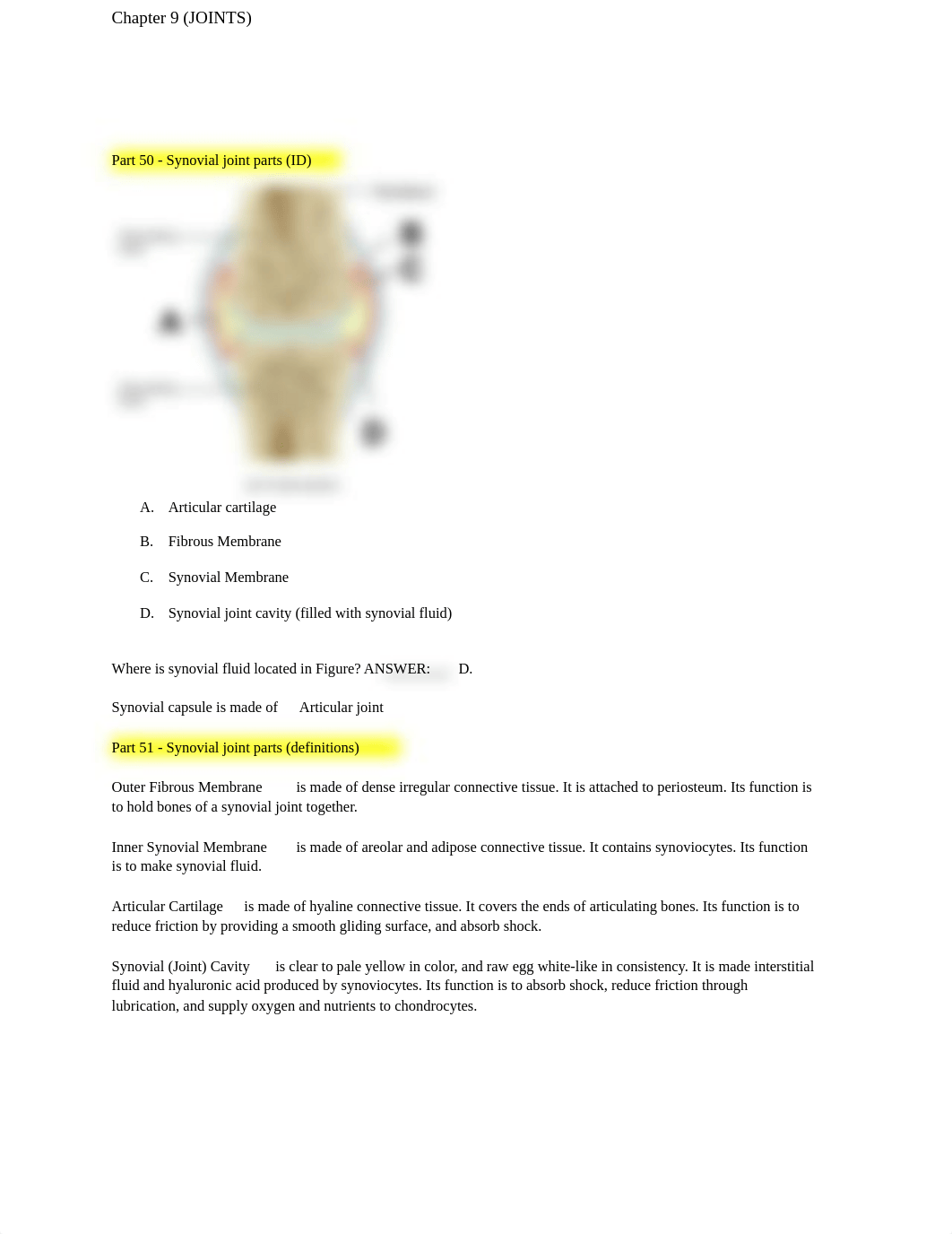 Copy of Chapter 9 (JOINTS) Study Questions.pdf_dabldsidesw_page2