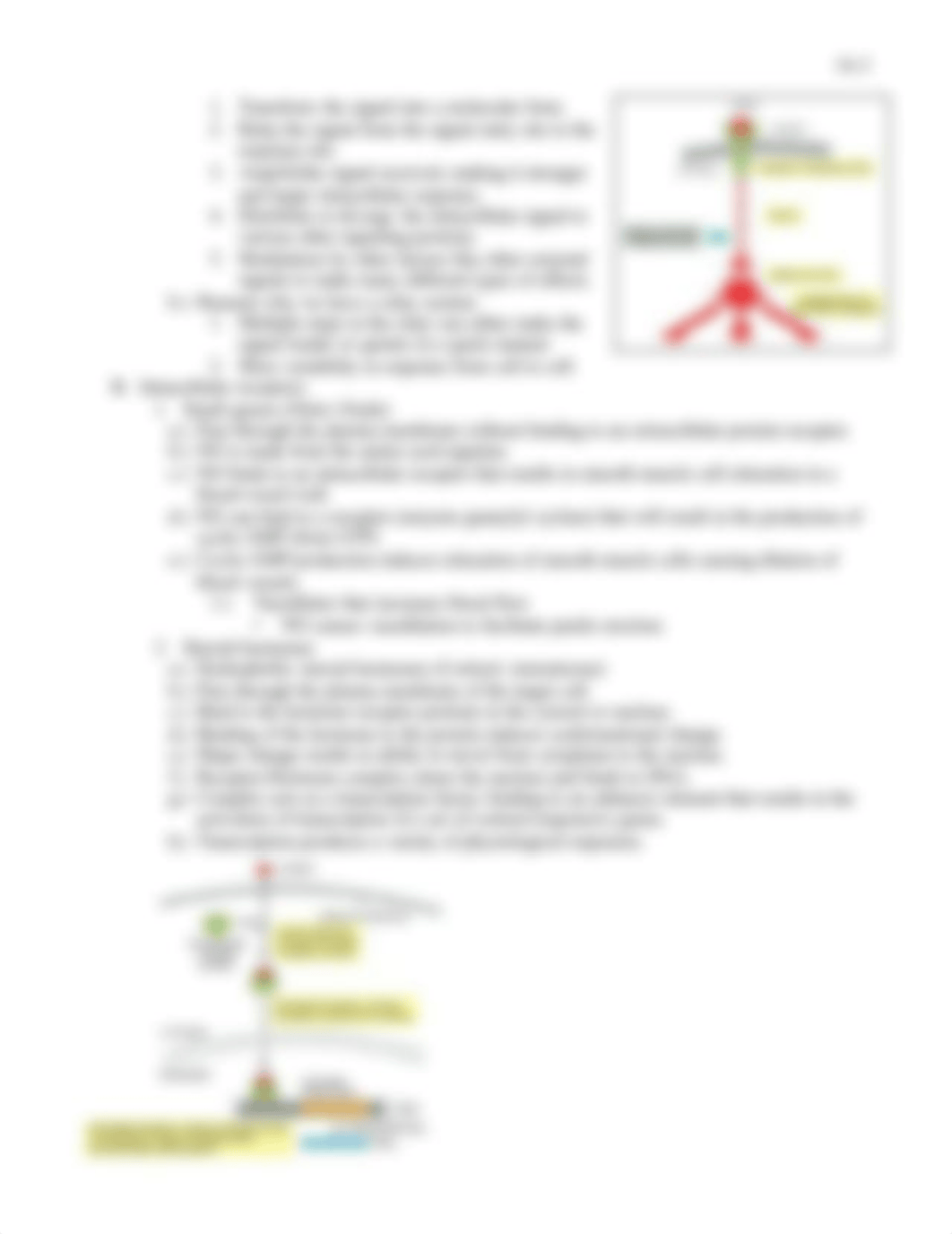 Cell Communication Notes_dabo1vo1q24_page3