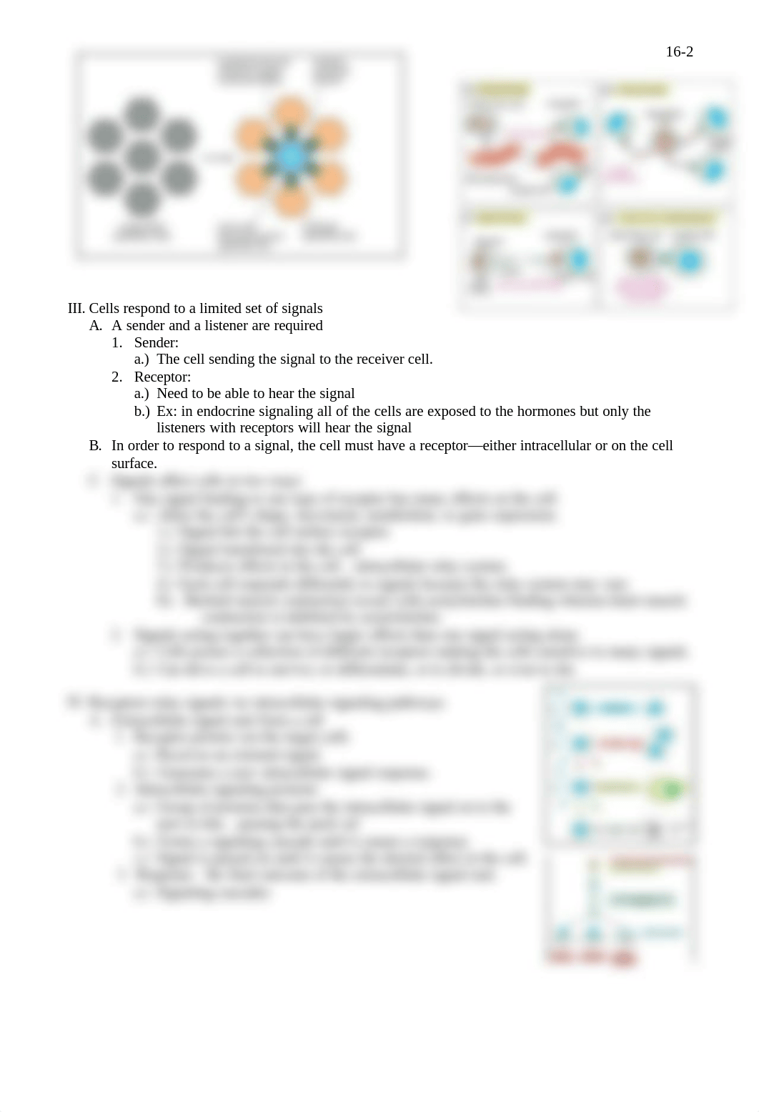 Cell Communication Notes_dabo1vo1q24_page2