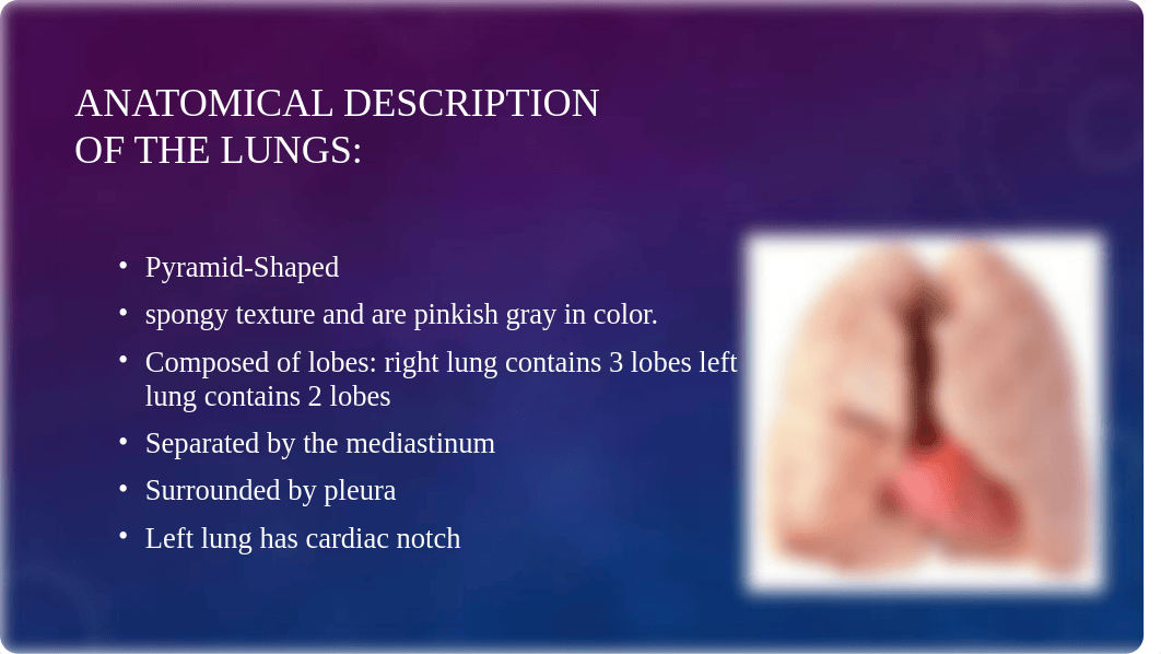 The Lungs Presentation (Module 5).pptx_dabpf30e1yw_page5