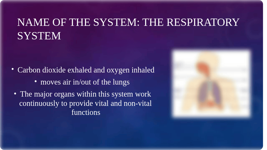 The Lungs Presentation (Module 5).pptx_dabpf30e1yw_page2