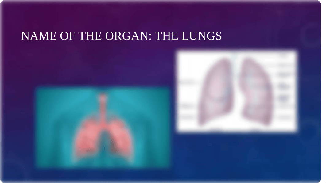 The Lungs Presentation (Module 5).pptx_dabpf30e1yw_page3