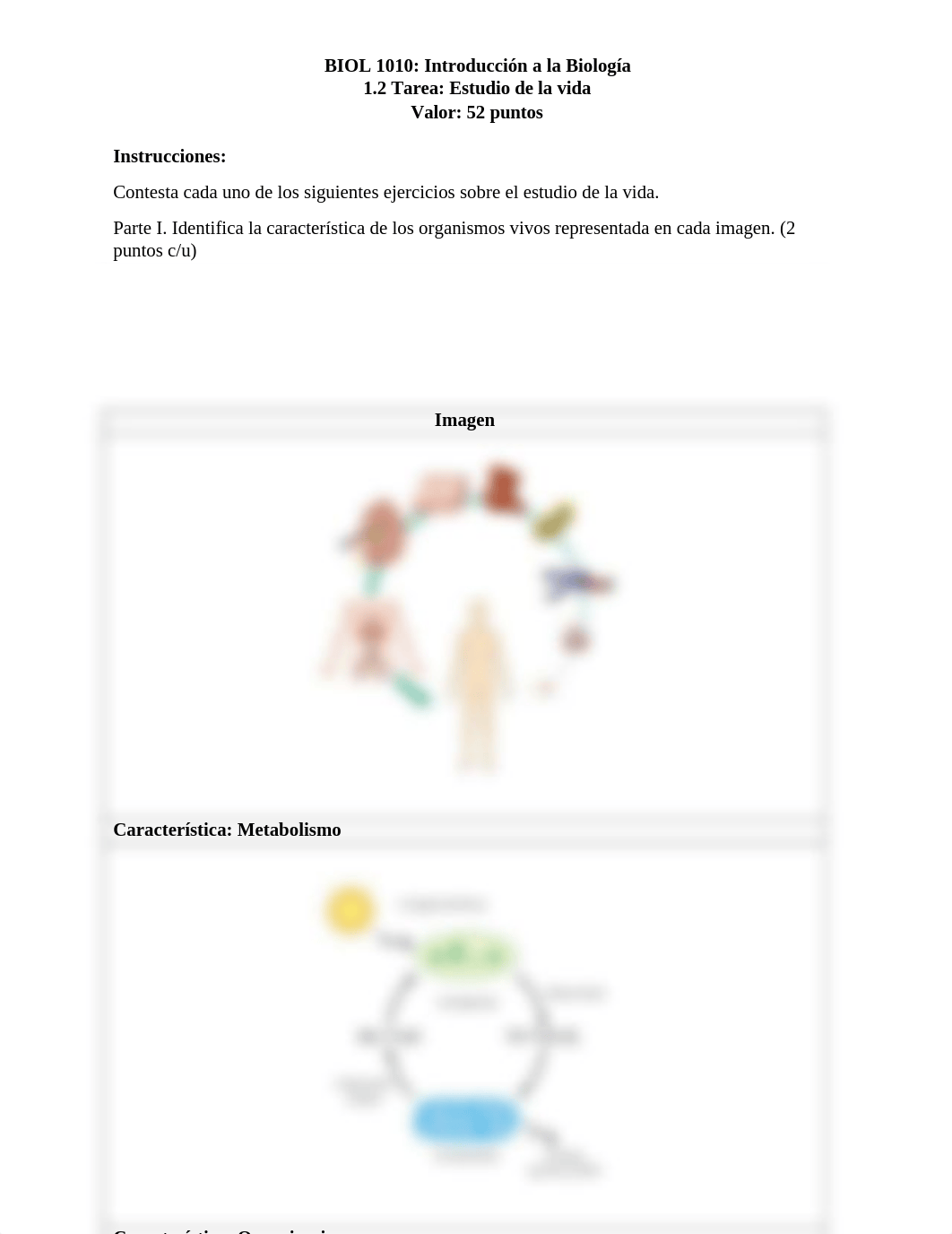 biologia tarea 1.2.docx_dabt2unux2w_page2