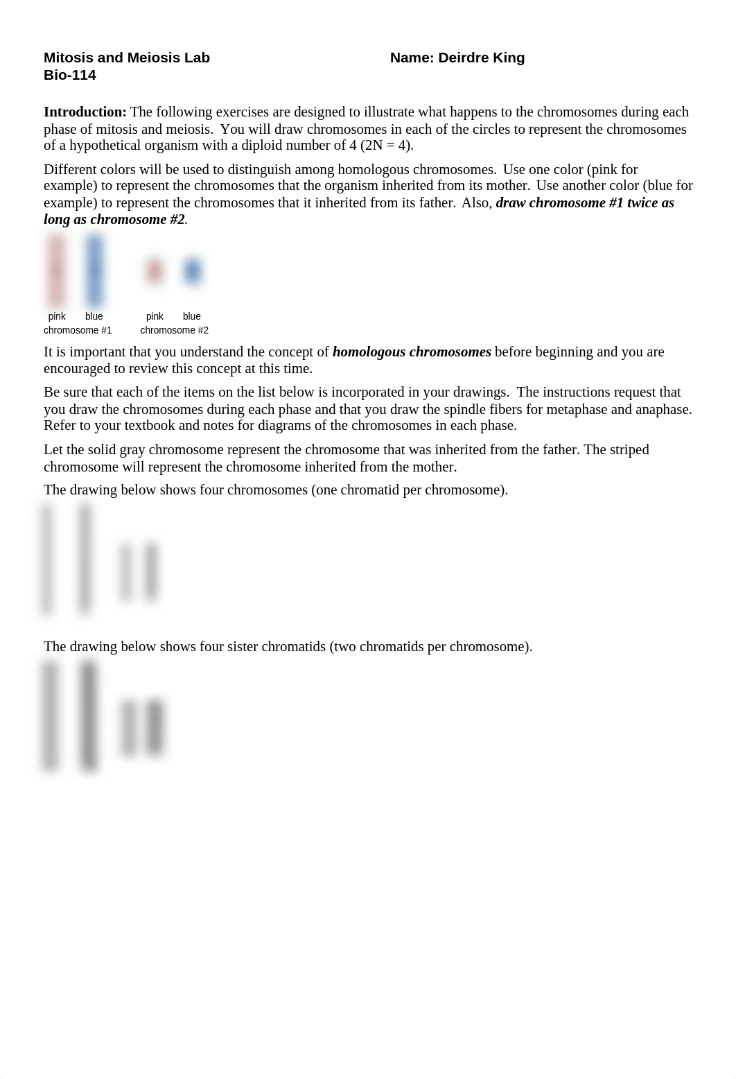 Mitosis and Meiosis (Chromosome Drawings).doc_dabvy3zvf1l_page1