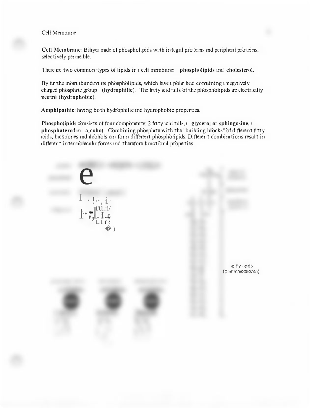 Exam 1.pdf_dabx7aiga7y_page1