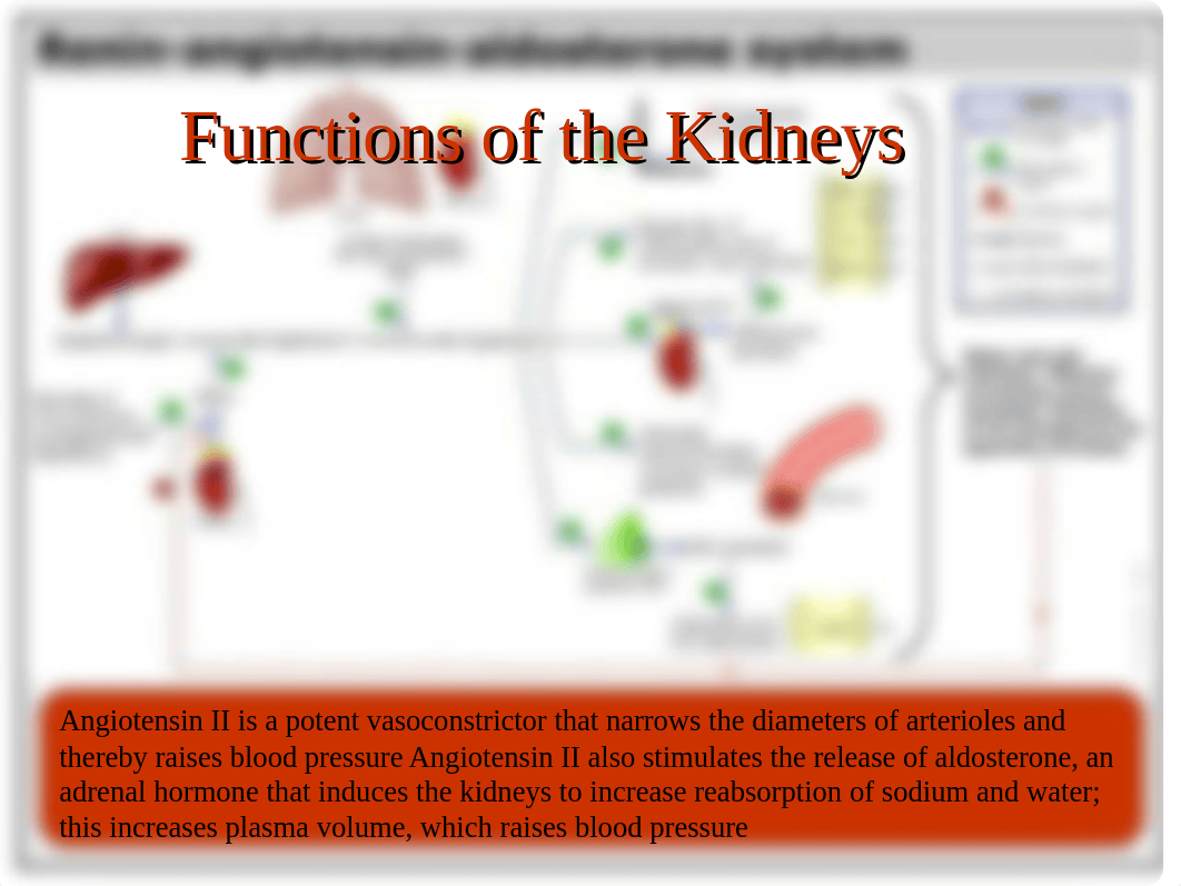 chapter28 Kidney Diseases (NF)- Part 1 (1)_dac5sp3rtsk_page3