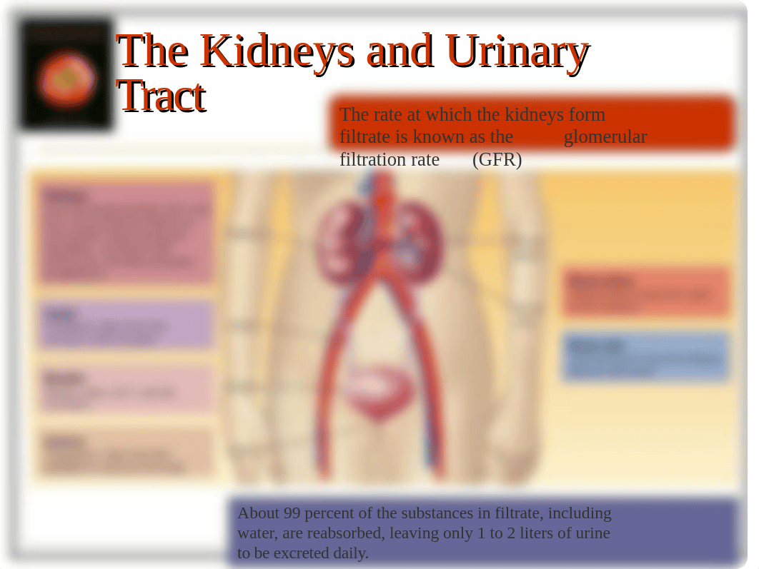 chapter28 Kidney Diseases (NF)- Part 1 (1)_dac5sp3rtsk_page4