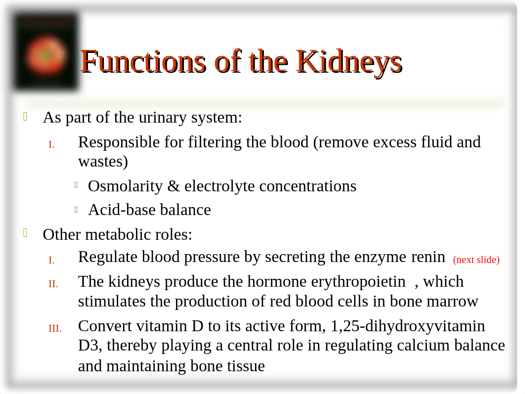 chapter28 Kidney Diseases (NF)- Part 1 (1)_dac5sp3rtsk_page2