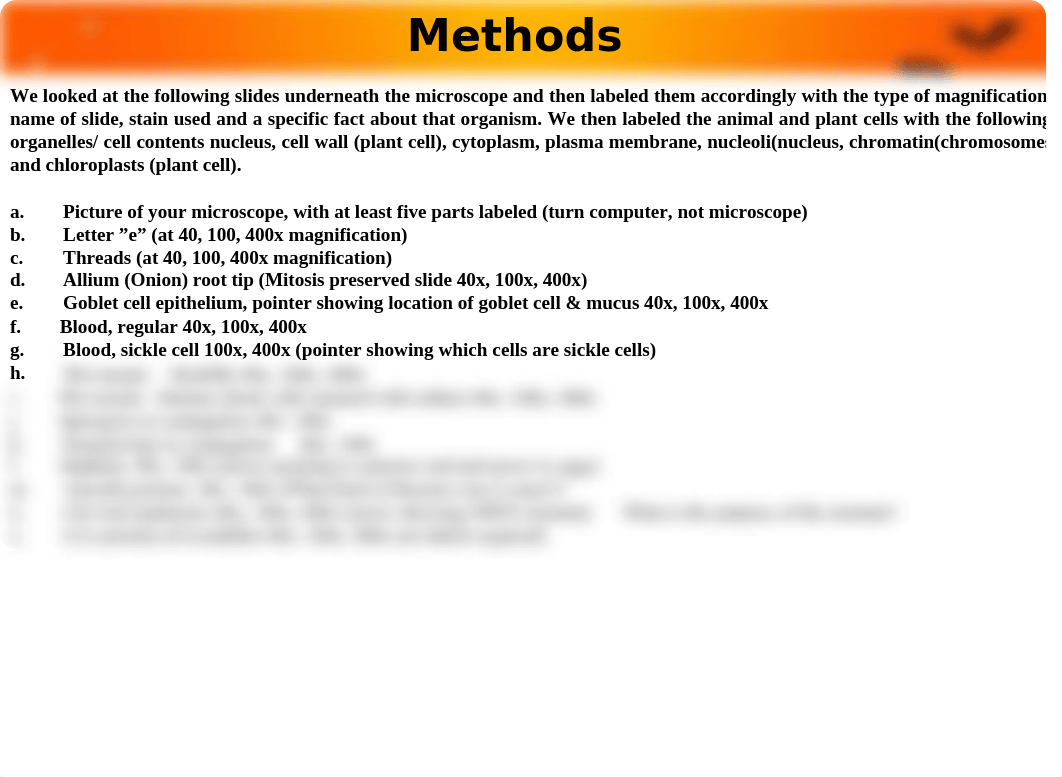 BSC  Microscope- Digital Cell, Tissue & Protist Lab.pptx_dac6gl7go0e_page5