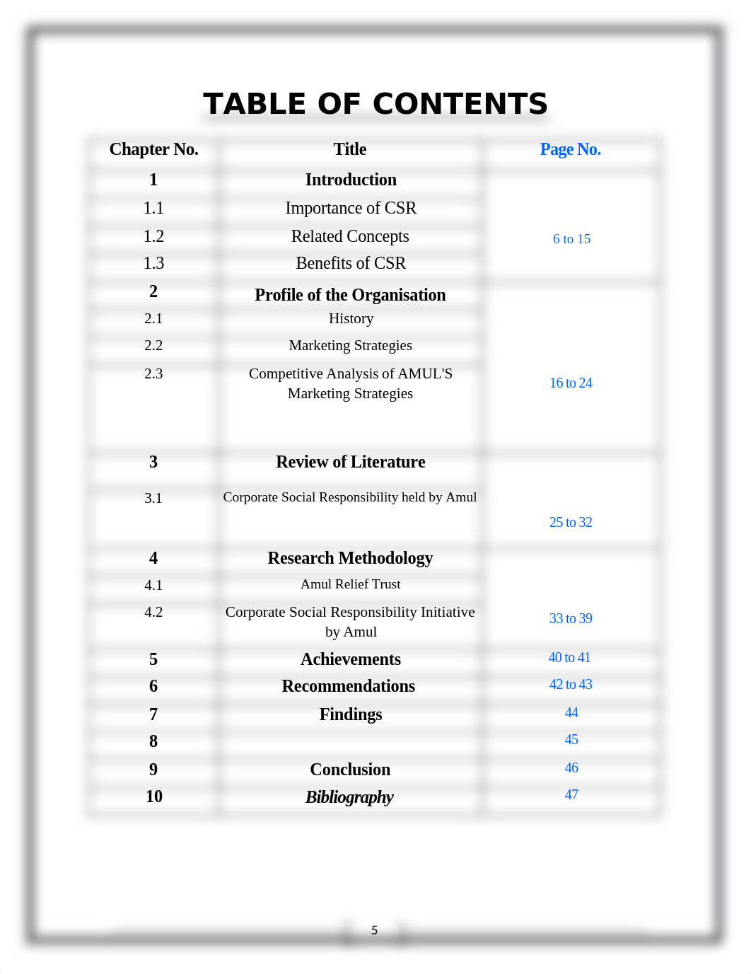 CSR.docx_dac9srix8q3_page5