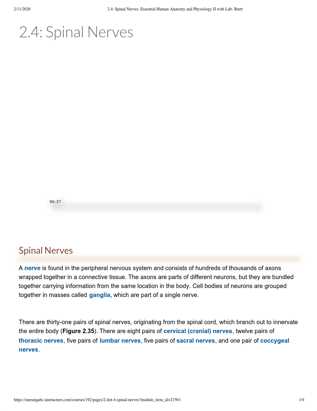 2.4_ Spinal Nerves_ Essential Human Anatomy and Physiology II with Lab- Burtt.pdf_dacbo0vzaji_page1
