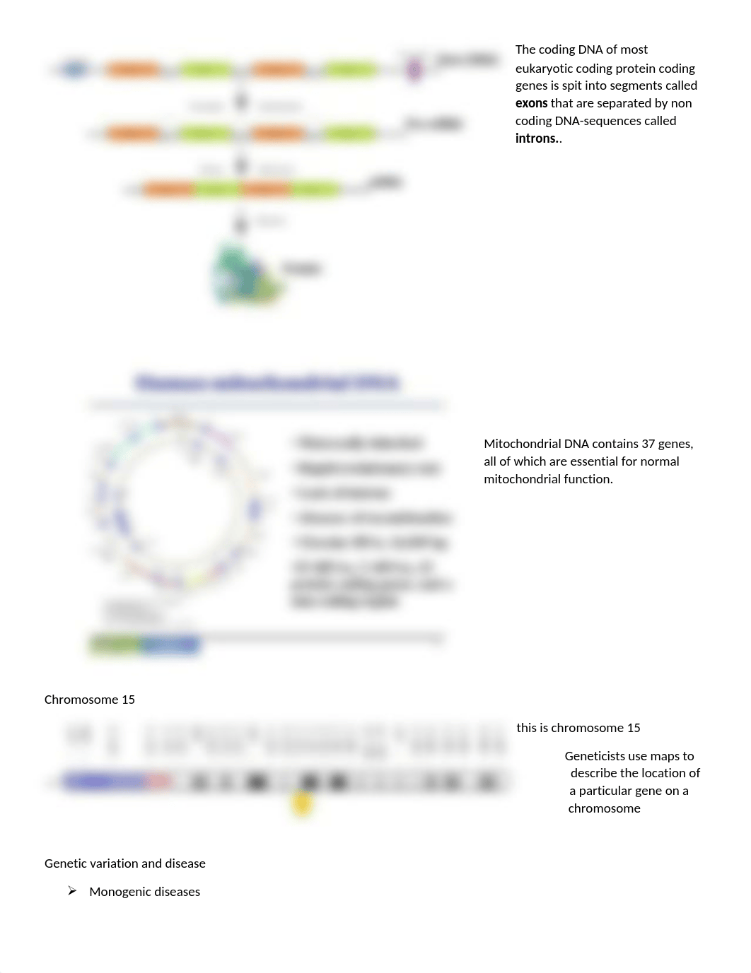 Genetics and Genomics.docx_dacpd9cha8m_page3