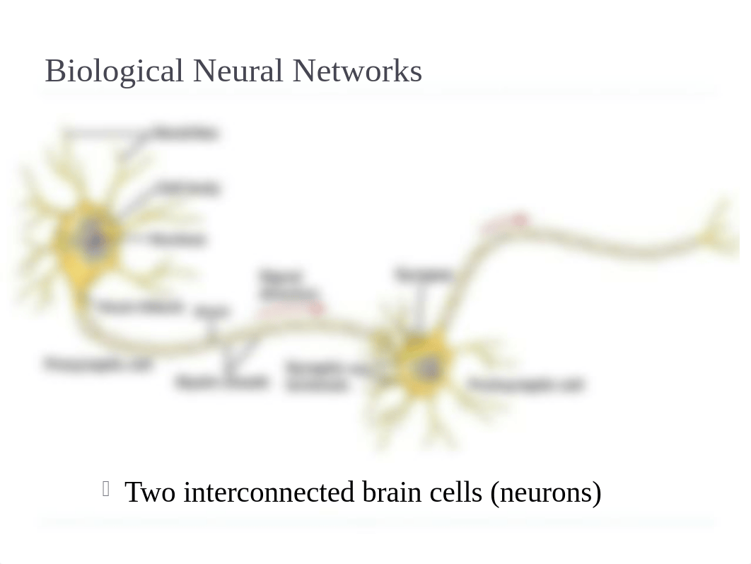 Data+Mining+-+Neural+Networks_dacvmu43hl3_page3