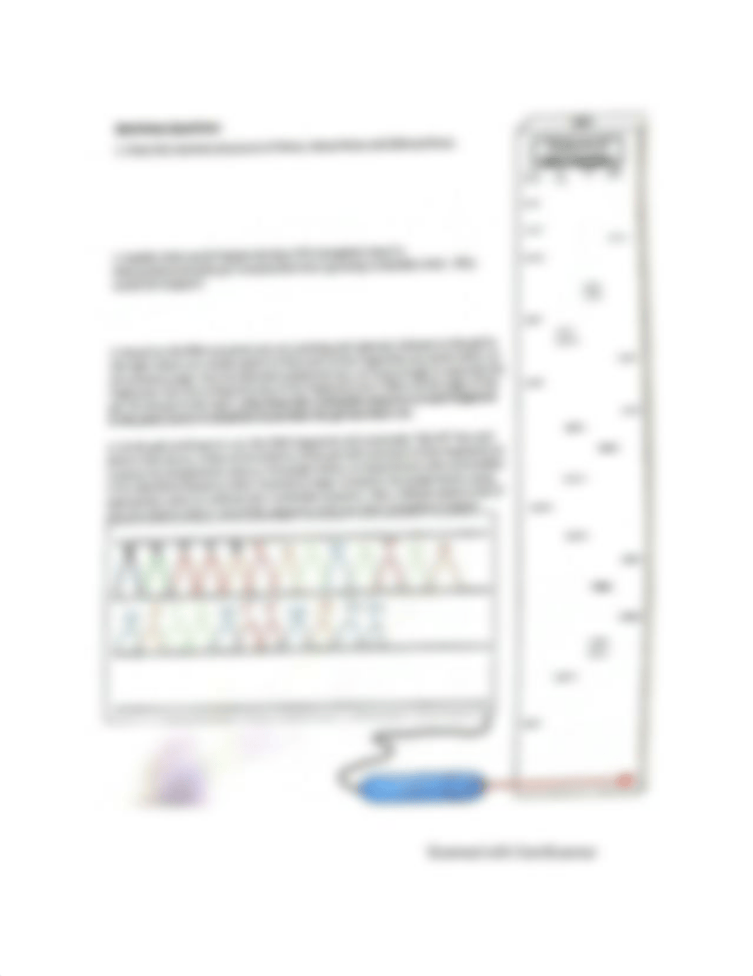 BIOCHEM Sequence worksheet.docx_dacywzns1d2_page3