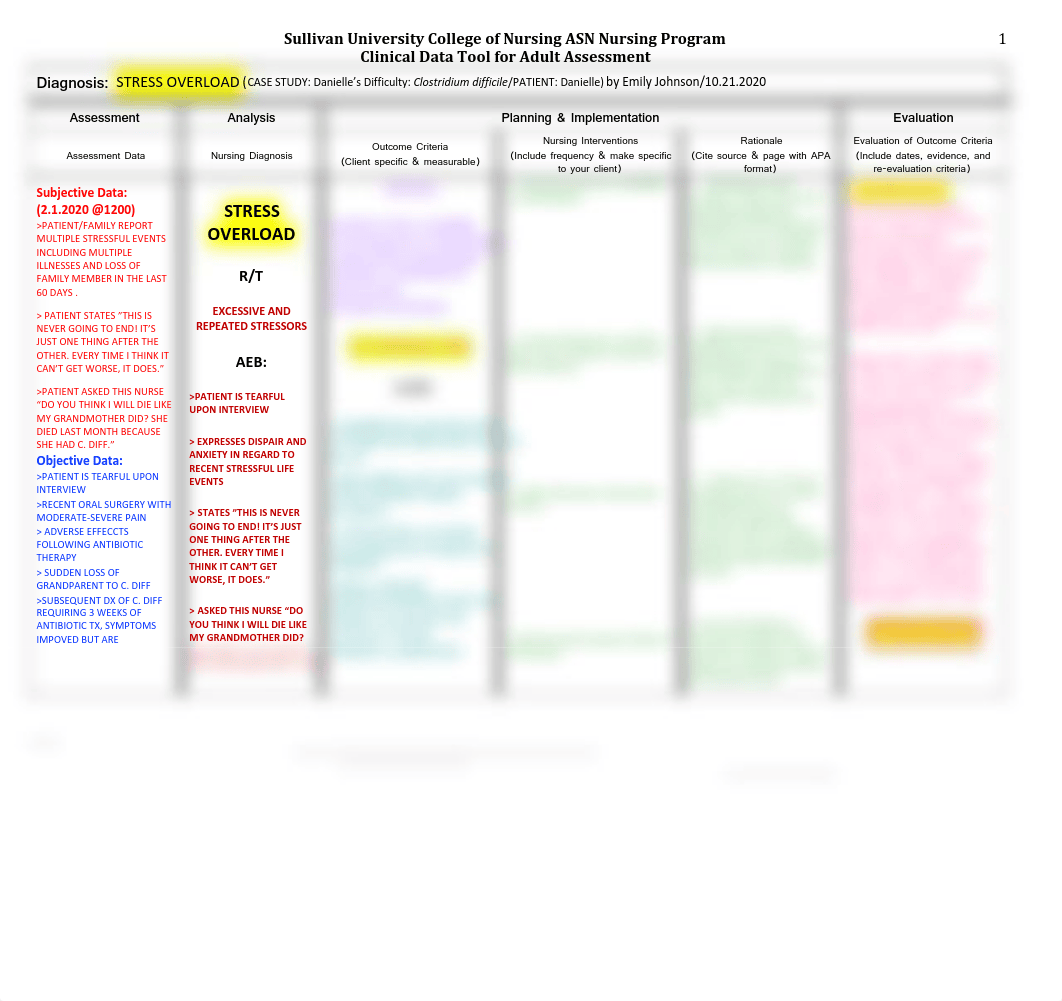 NUR230 CLINICAL W4 C. Diff Care Plan-Psychosocial.pdf_dadangr4bbn_page1