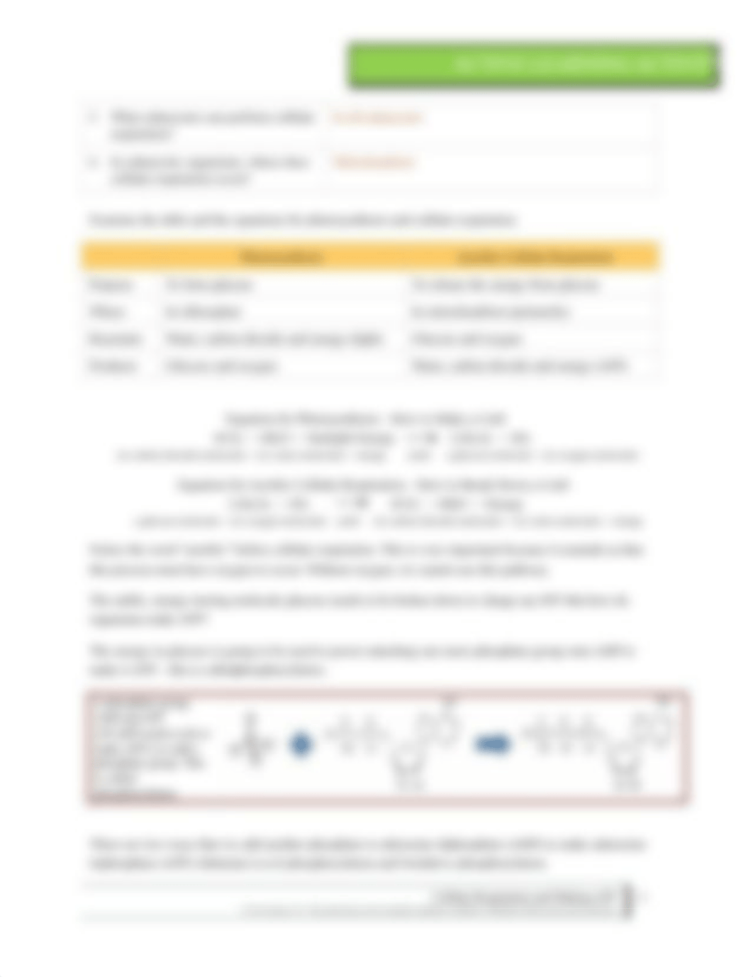 ALA - Cellular Respiration and Making ATP.docx_dadcv6rq7mm_page2