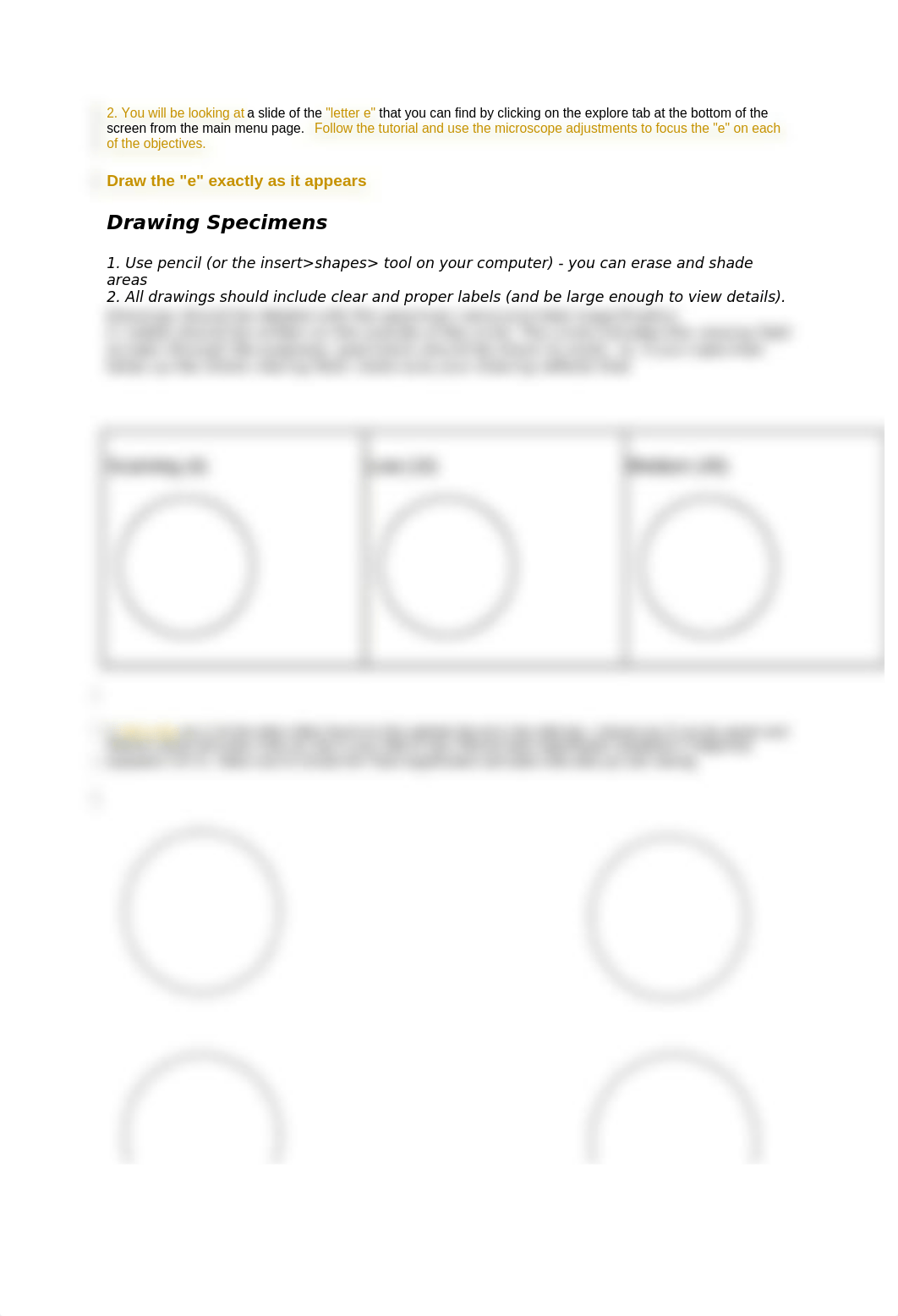 anatomy microscope lab (1).docx_dadfdk82s5u_page2