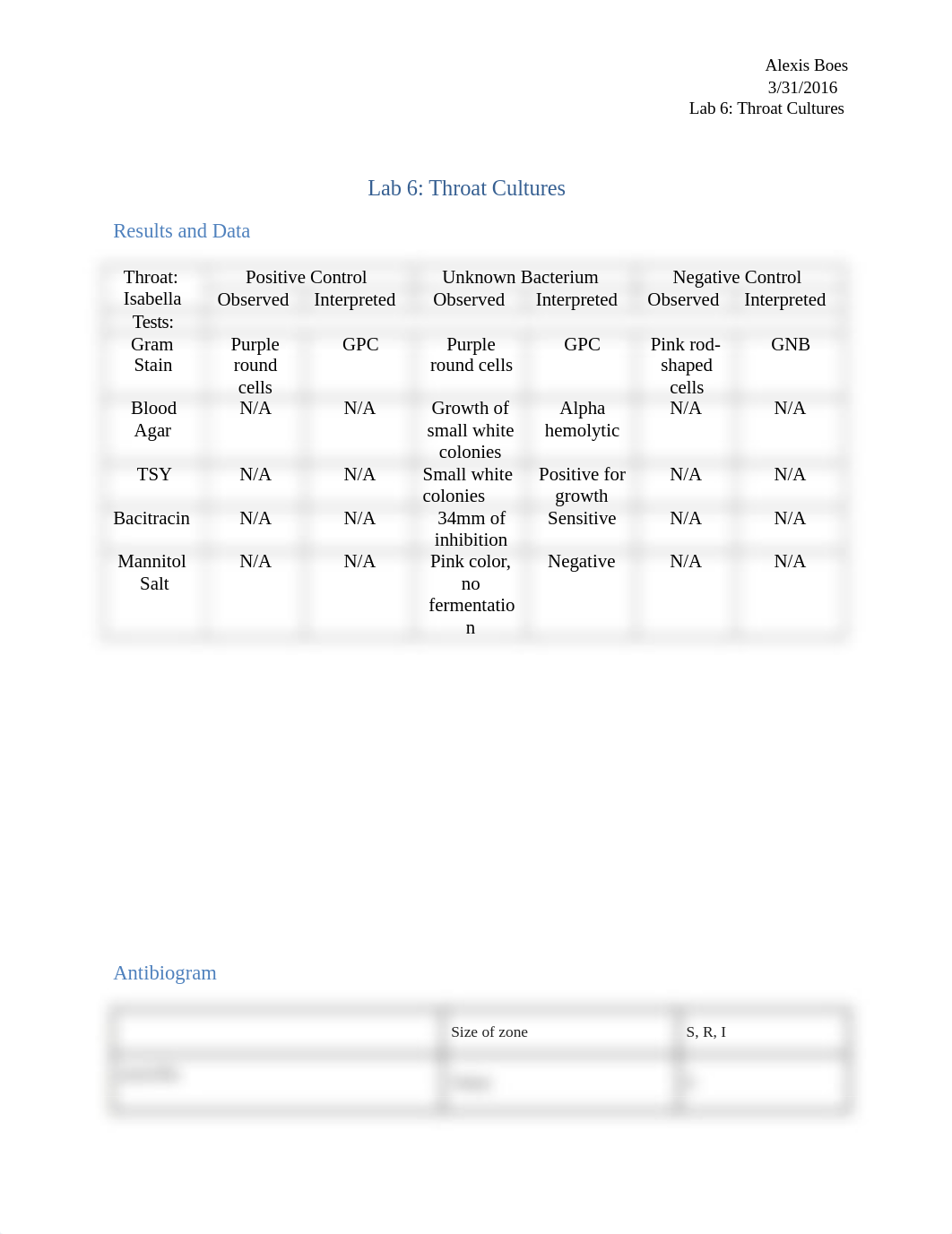 Boes_LR6_W16_dadgm4rah4a_page1