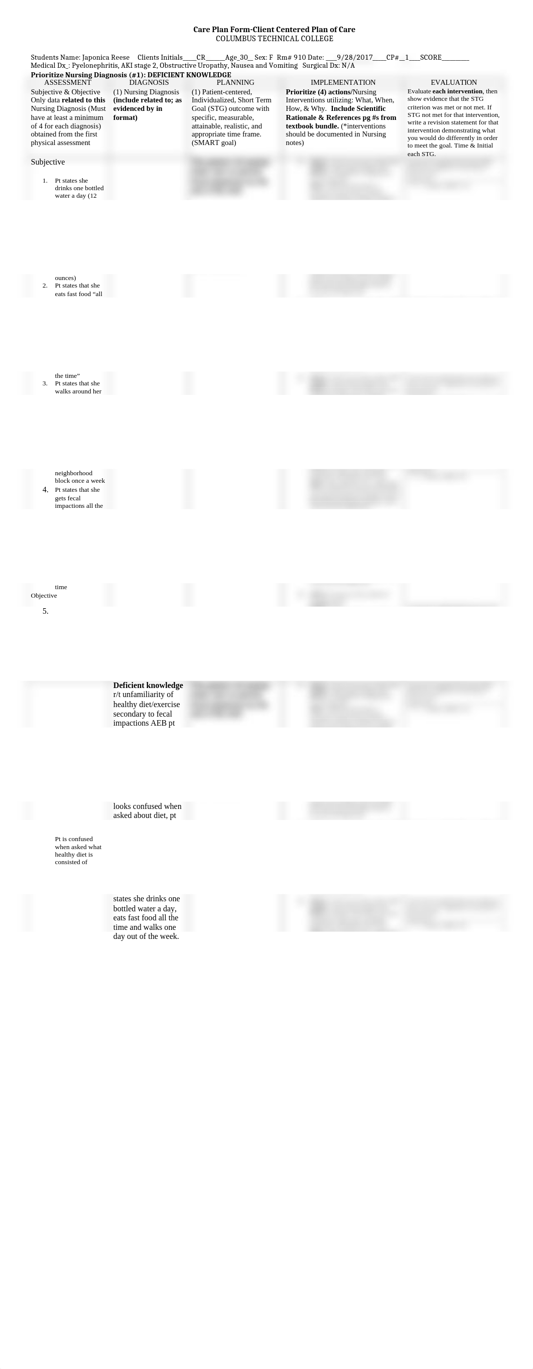 CR Care plan.doc_dadkbgs0082_page1