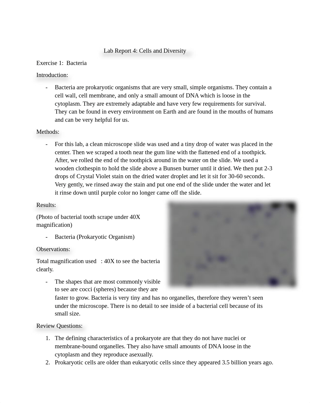 Biology Lab 4 Cells & Diversity Lab Report (2).pdf_dadsen3sfxq_page1