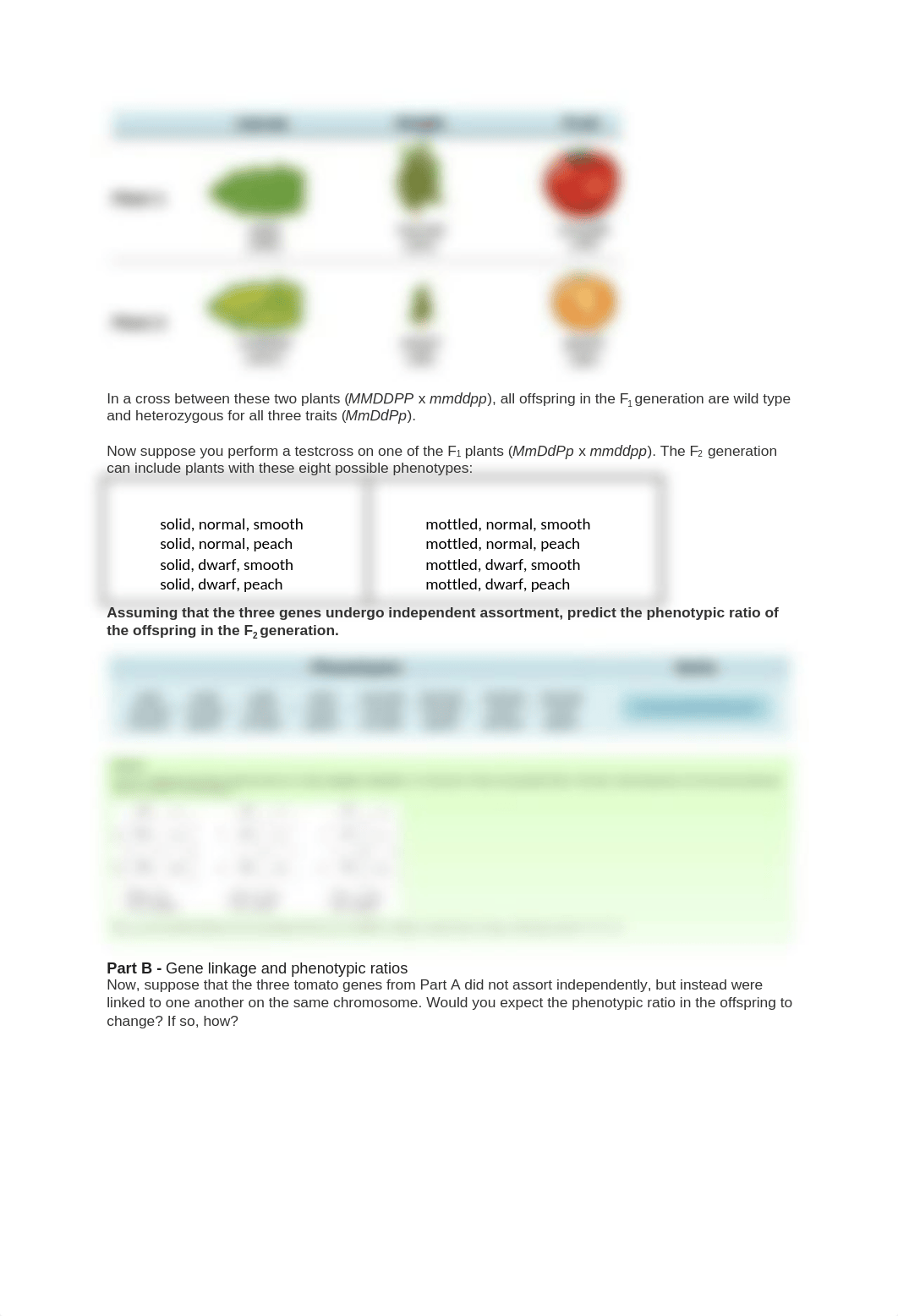 Chapter 15 Homework_dadwggo8lok_page2