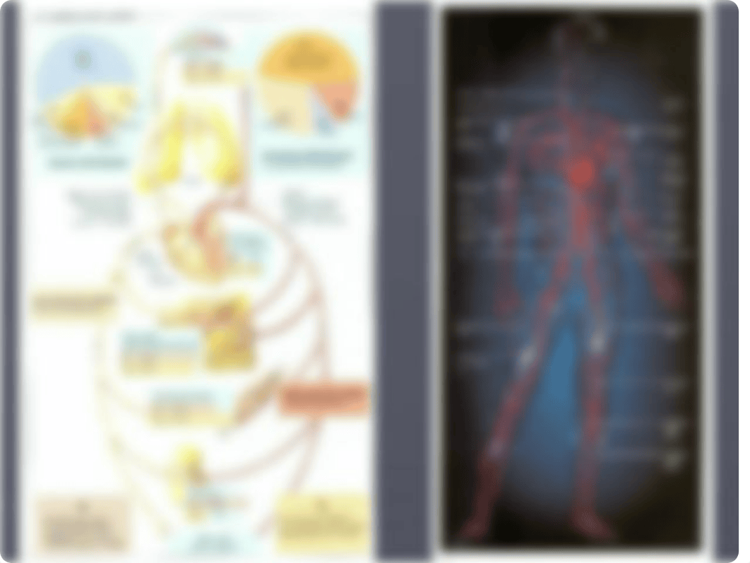 6.Circulation, blood pressure.ppt_dae6l00f6vn_page3