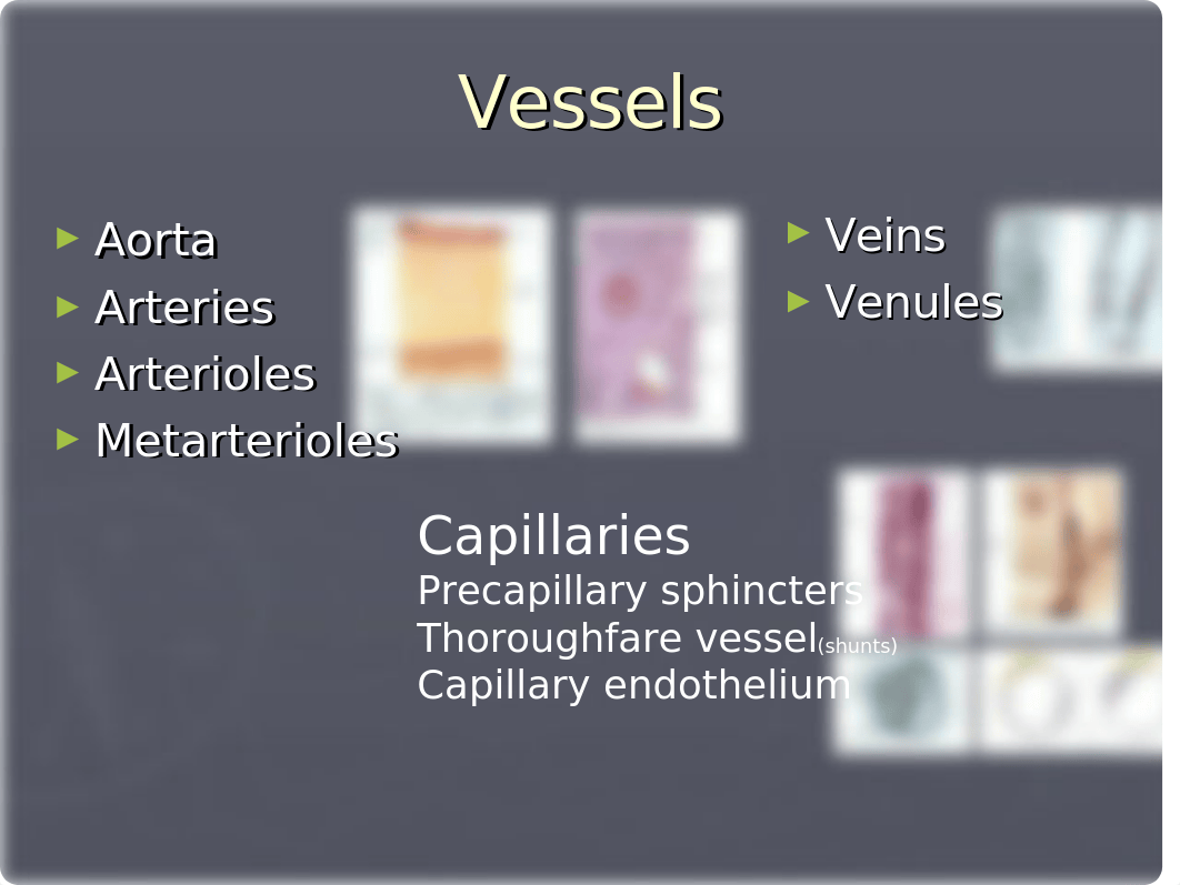 6.Circulation, blood pressure.ppt_dae6l00f6vn_page4