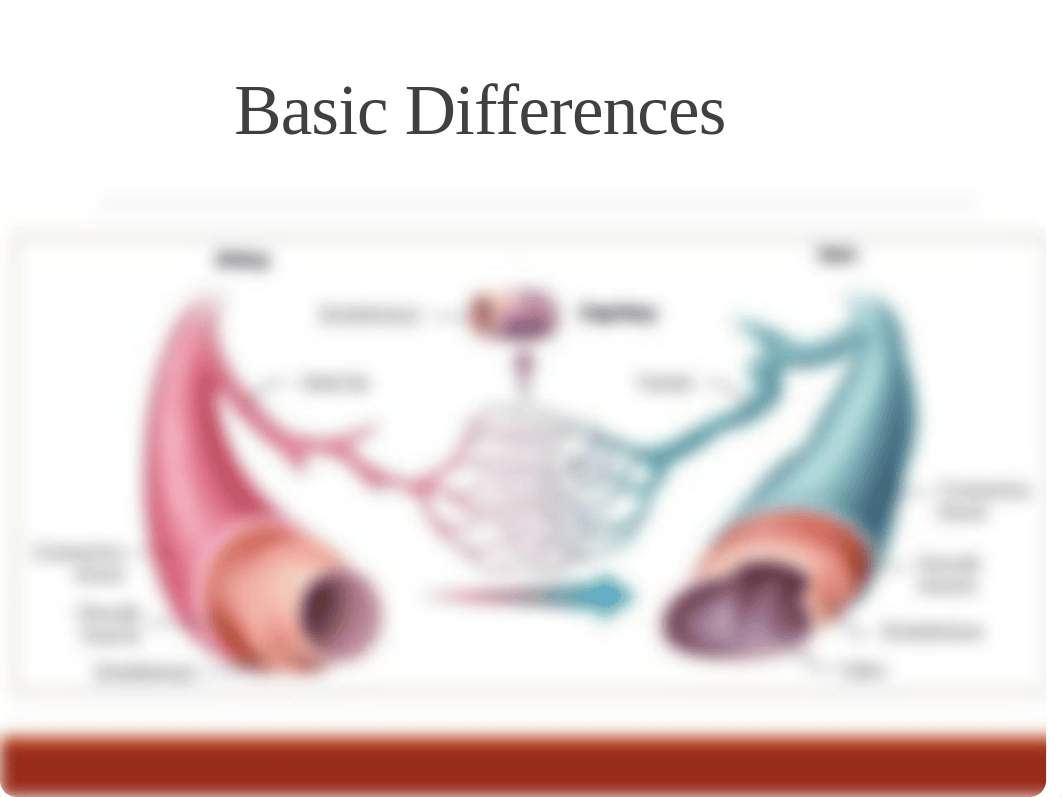 Peripheral Arterial Disease Powerpoint_dae7pjkl8uk_page3