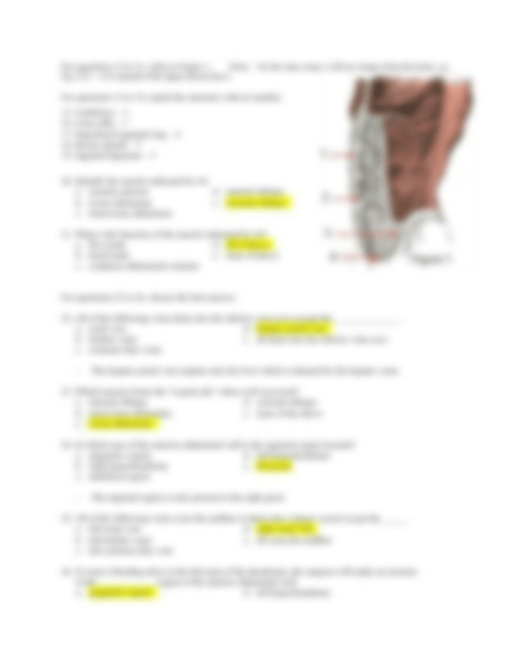 BIO Final Practice Exams and Quiz.docx_dae7wyrlnzf_page2