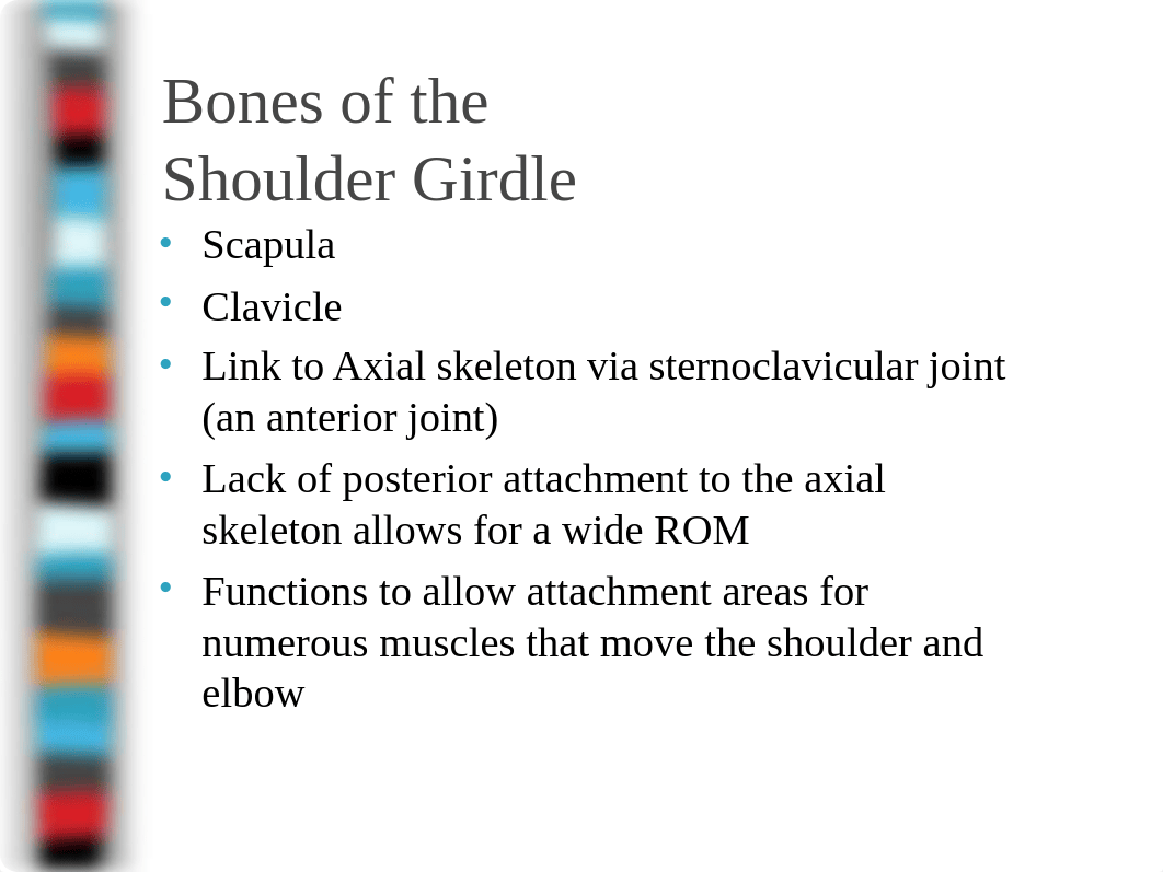 8 Shoulder Joint.ppt_dae8ys2nk0n_page4