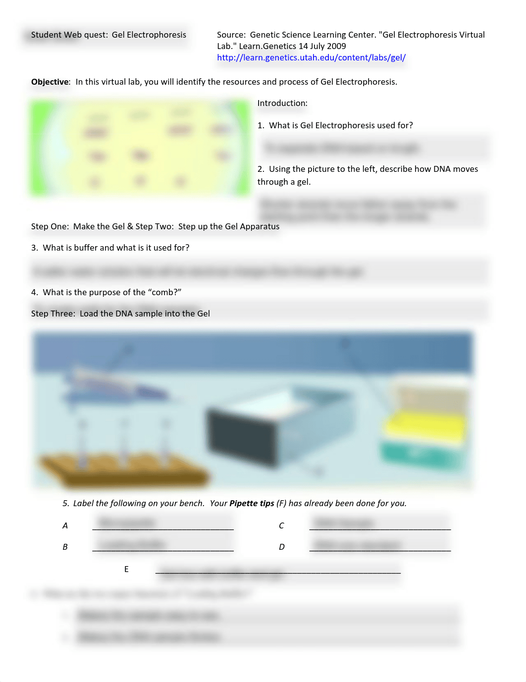 Gel Electrophoresis Lab_dae9qyaaqps_page1