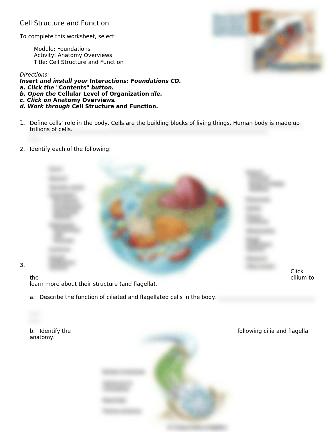 Cell function.doc_daehtc2miwy_page1