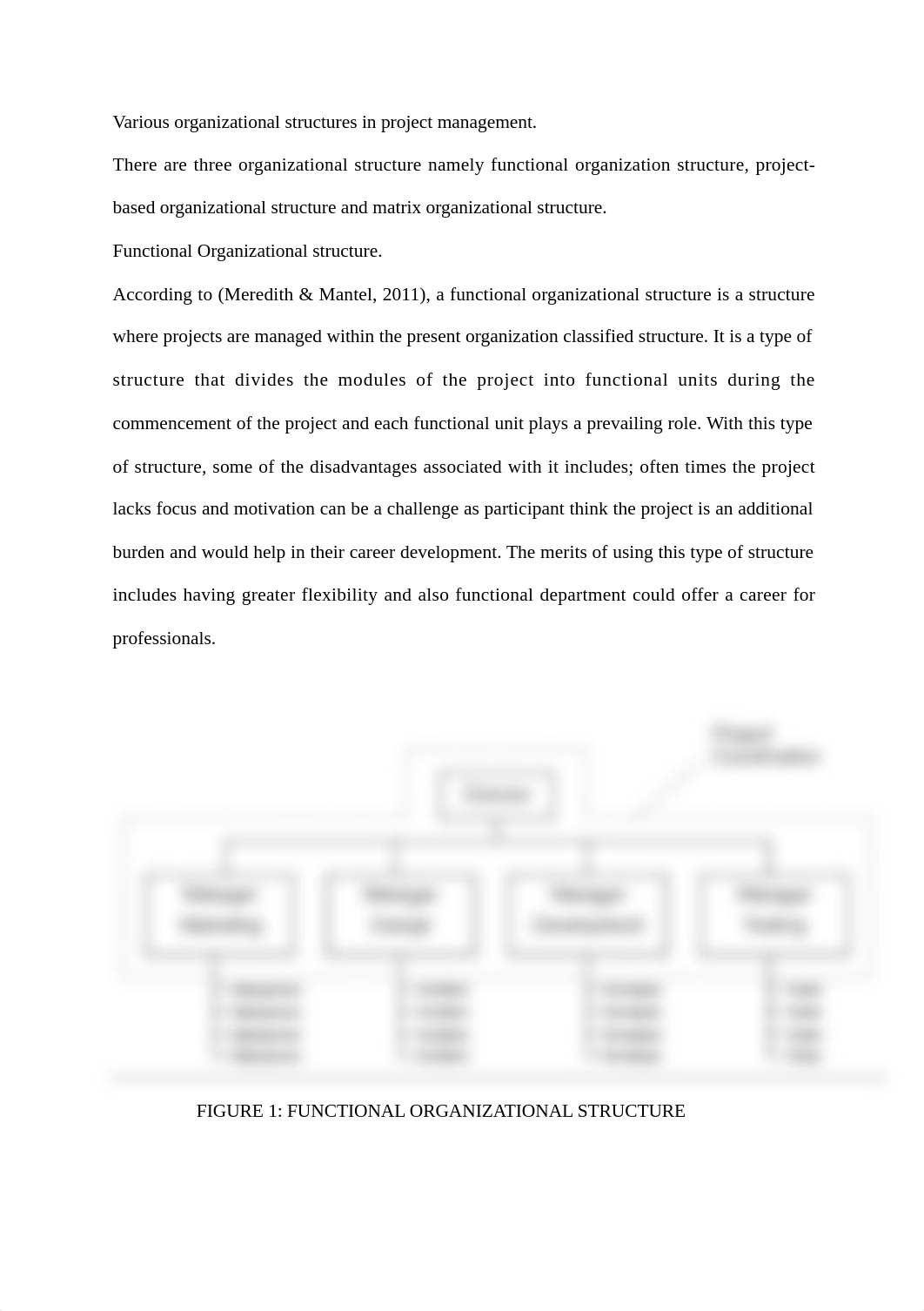 Project Management Paper_daeo23hzvi1_page2