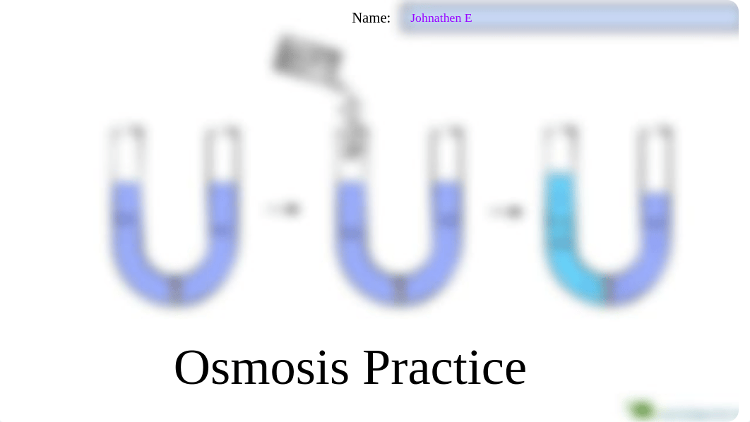 Johnathen_Ezeokonkwo_-_Osmosis_Practice_2021_daet6spi1xb_page1