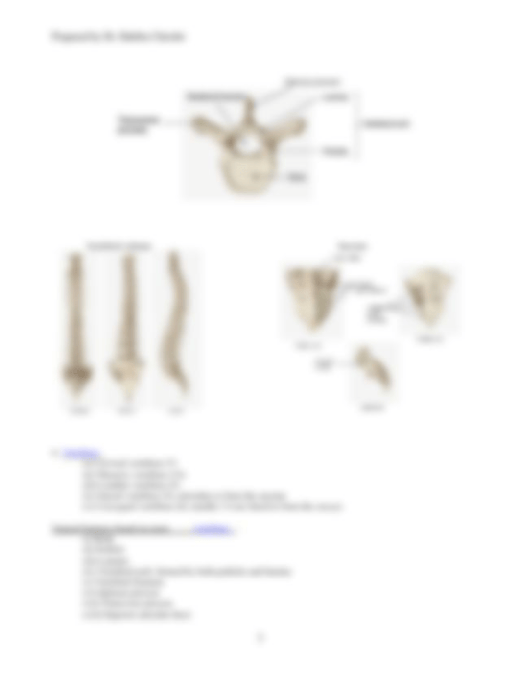 LAB 4 postcranial lab-2.pdf_daevfojzf9m_page3