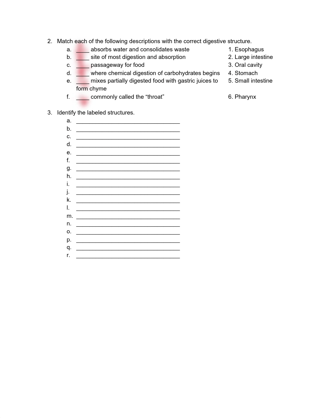 DIGESTIVE SYSTEM Worksheets.pdf_daexjcr16pc_page2