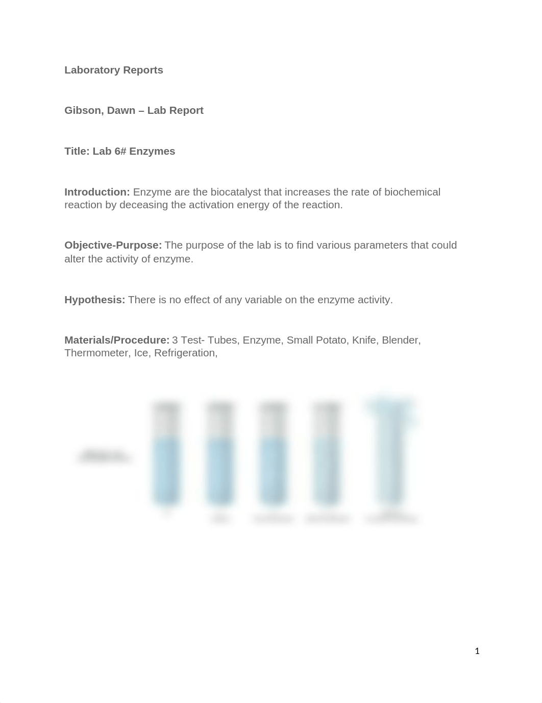 Biology Summer 2019 Lab 6# Enzymes Rough Draft Lab Report July 23 2019.docx_daf07euzaoi_page1