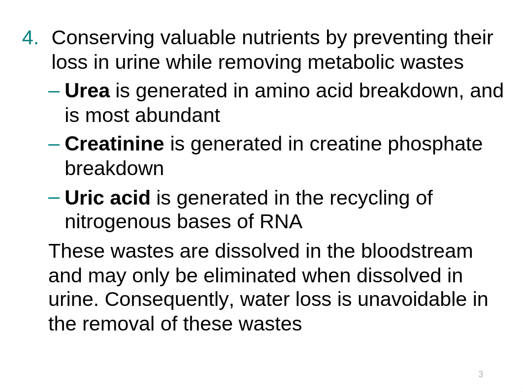 26. Urinary System.pptx_daf0il3j87b_page3