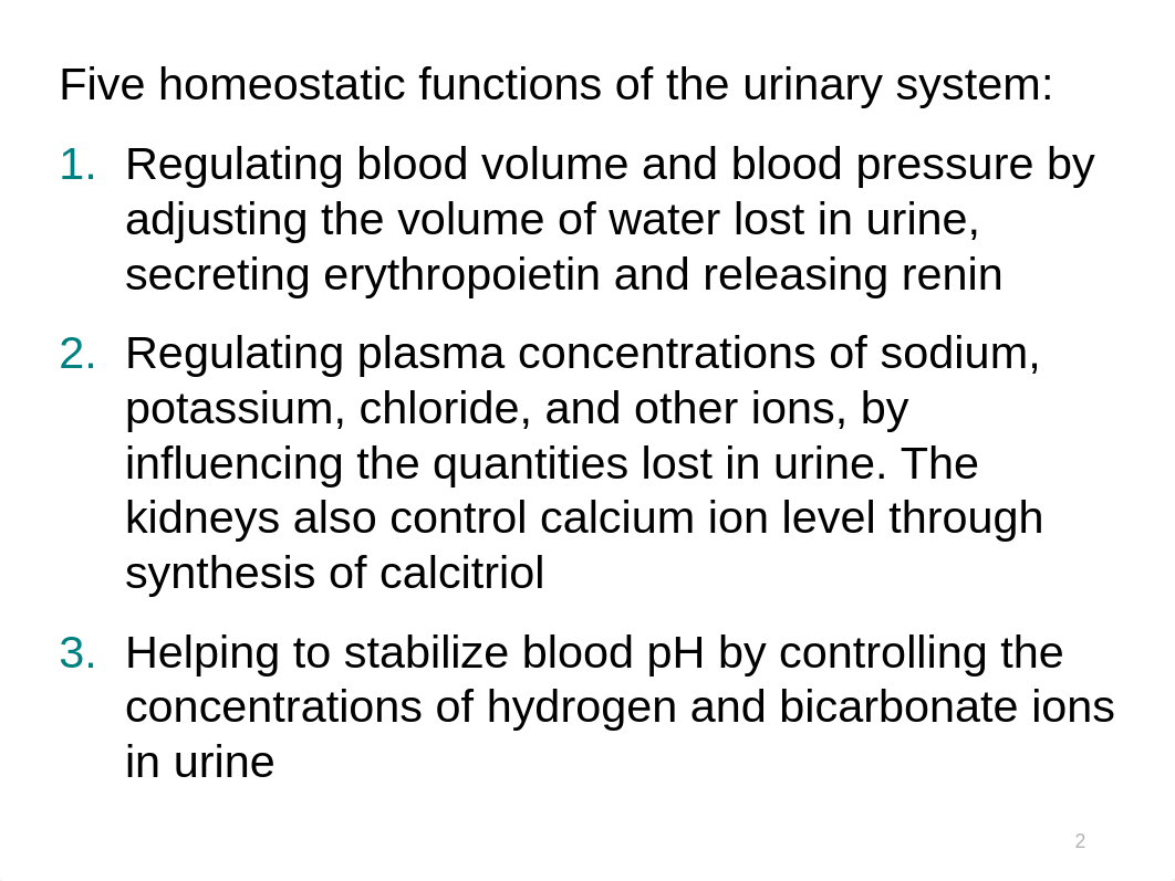 26. Urinary System.pptx_daf0il3j87b_page2